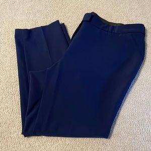 Women’s Investments II Navy Blue Pants—size 24W